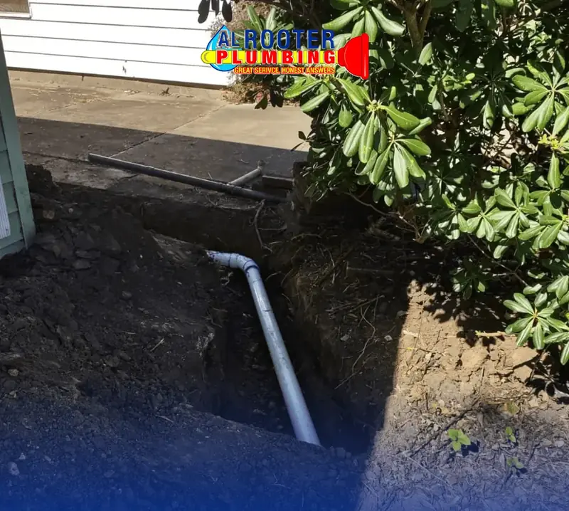 AL Rooter Plumbing job photo 16